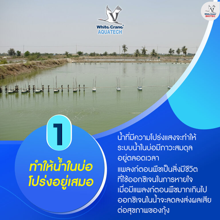 5 เทคนิคพิชิตขี้ขาว-2