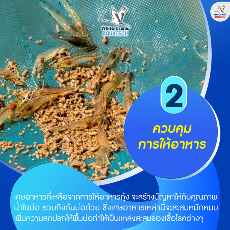 5 เทคนิคพิชิตขี้ขาว-3