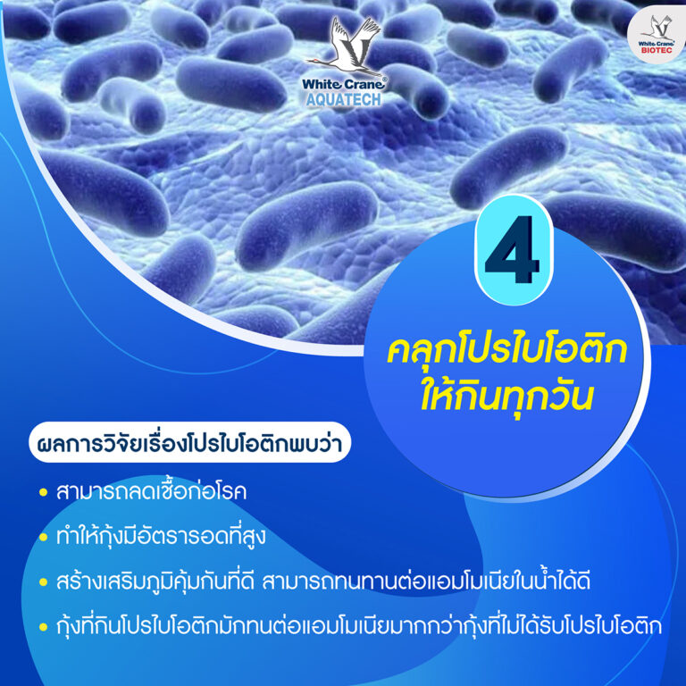 5 เทคนิคพิชิตขี้ขาว-5