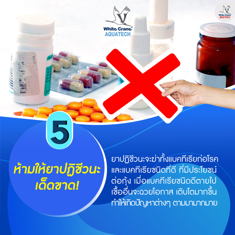 5 เทคนิคพิชิตขี้ขาว-6